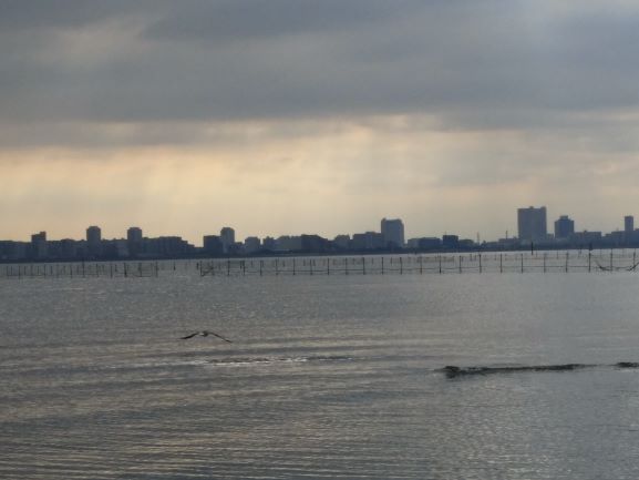 1680591077903470.jpg 23.jpg